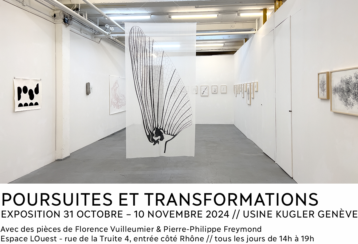 Poursuites & transformations