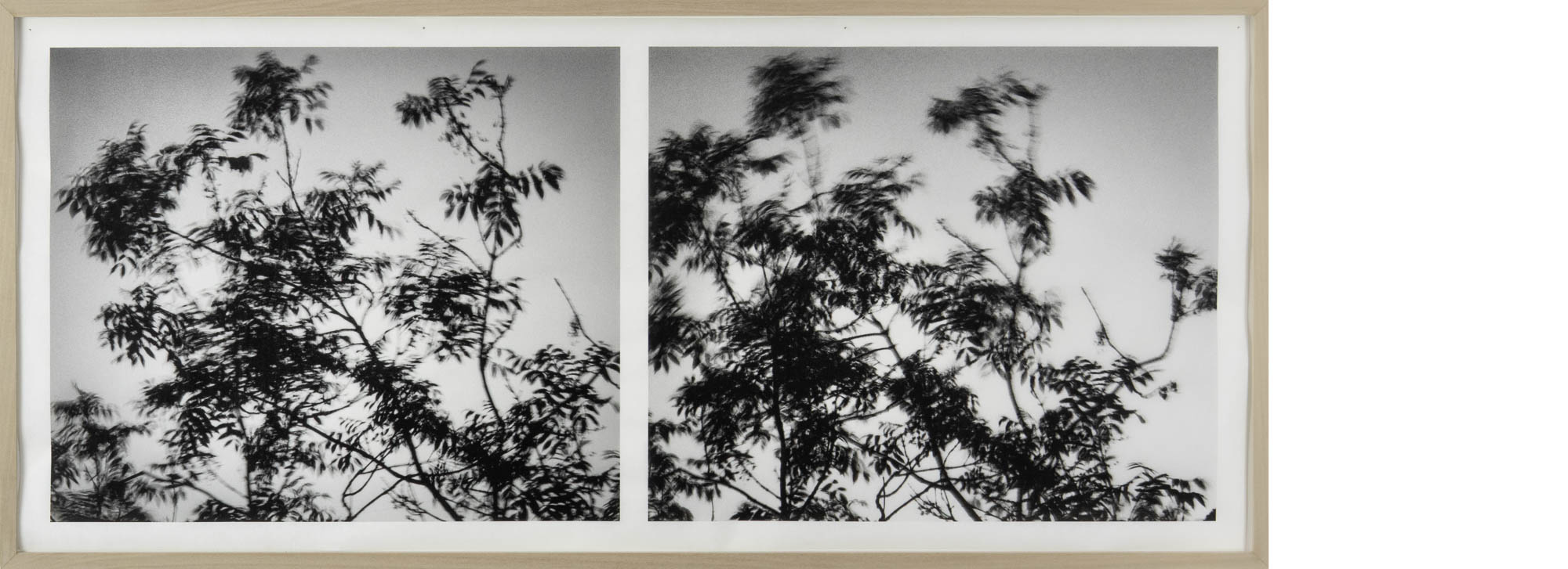 La tempête (Monte Verita)