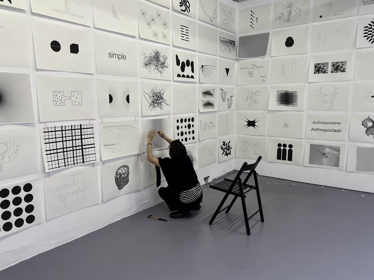 Screening StandarddeLuxe